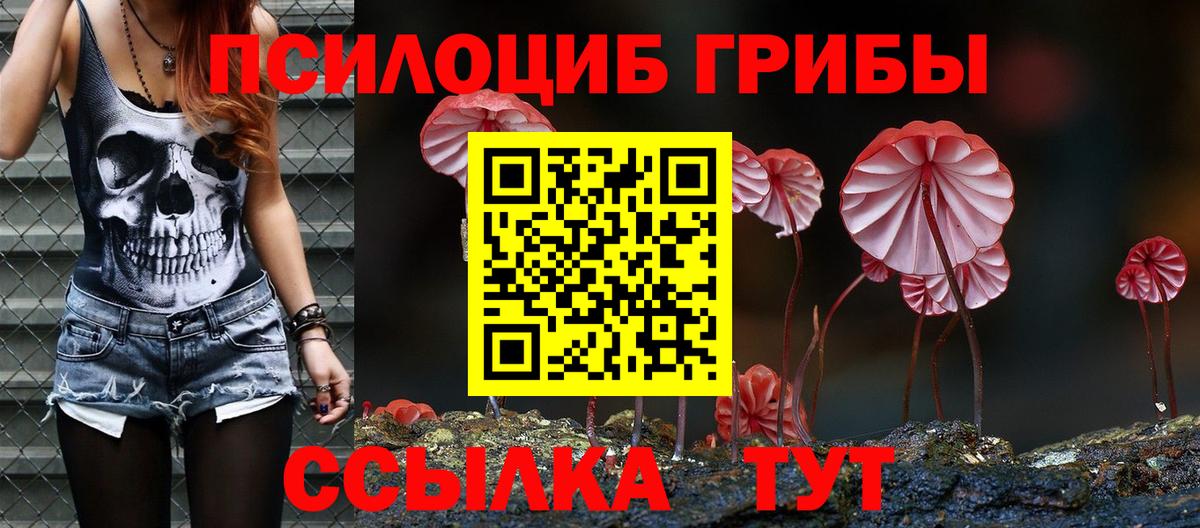 Псилоцибиновые грибы Magic Shrooms  Вход с VPN  Галлюциногенные грибы мицелий  Кимры 