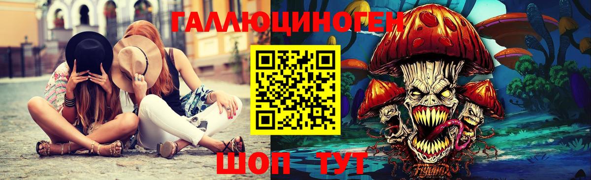 Псилоцибиновые грибы Psilocybe Кимры